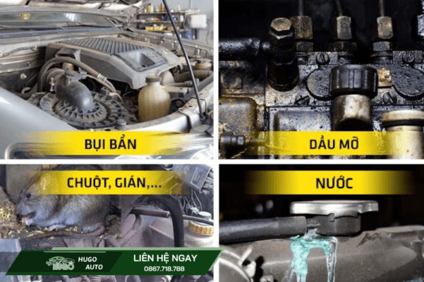 Những vấn đề khoang máy ô tô gặp phải sau quá trình sử dụng