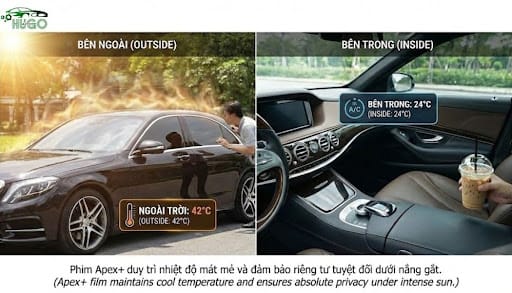 Smart Film Apex A+ trải nghiệm thực tế