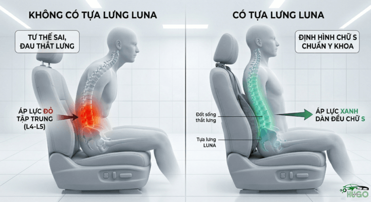 Tựa lưng Luna giúp dàn đều áp lực lên cột sống chuẩn chữ S.